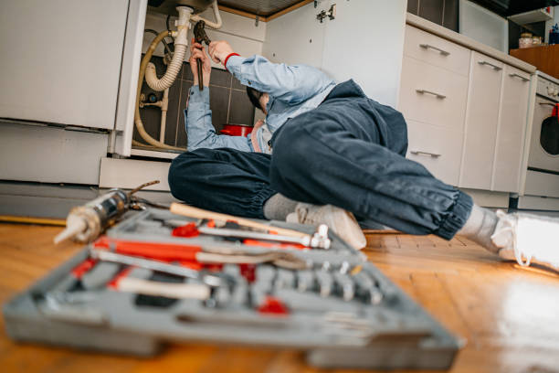 Best Plumbing Services Near Me  in Susitna North, AK