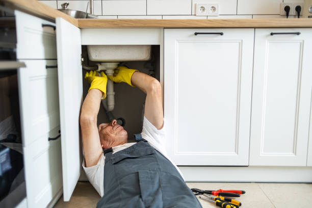 Best Sprinkler Systems  in Susitna North, AK