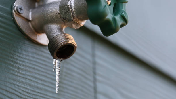 Best Shower Repair Services  in Susitna North, AK