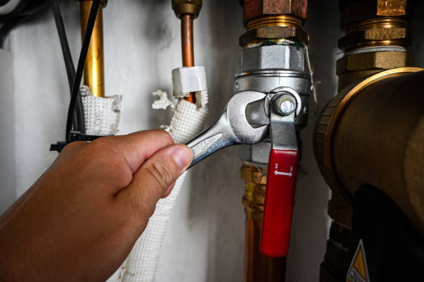 Best Faucet Repair  in Susitna North, AK